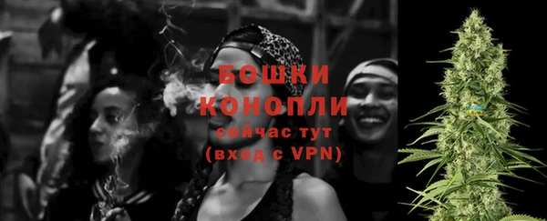 spice Зеленодольск