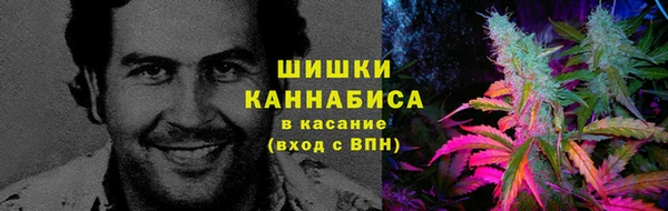 spice Зеленодольск