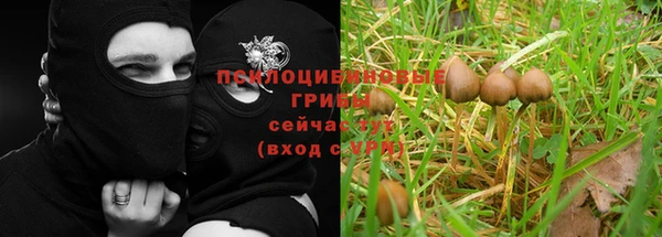 spice Зеленодольск