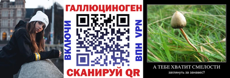 Галлюциногенные грибы прущие грибы  Купить закладки  Горняк 